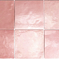24456 ARTISAN ROSE MALLOW 13,2X13,2 EQUIPE