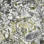 MML7261530 WHITE BEAUTY LUCIDATO 300x150 Granitifiandre