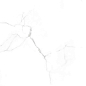 Calacatta Lite Satin 60 600x600 Velsaa