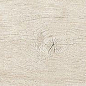 189003 Quercus Betulla 22x120 Dune