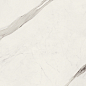 G67500 Statuario White Lux R 120x280 Versace (Gardenia Orchidea) фото в миниатюре