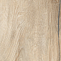 J88440 Daring Ecru 24x120 RHS (Rondine) Ceramiche