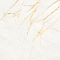 PF60017518 Supreme Hedonism Golden Spider Nat R 60x120 Flaviker