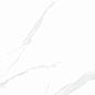 NTT9106P Statuario 60x120 NT Ceramic