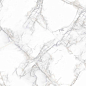 PR114 Arena White Polished 600x600 PrimaVera