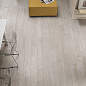 Amarcord RHS (Rondine) Ceramiche