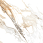 PR138 Duchess Gold polished 60x60 PrimaVera