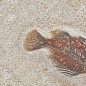 FM3366 Fossil Mix 33х66 Serapool фото в миниатюре 11