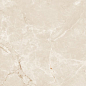 N20564 Siena Caramel Lap Carving 60x120 Neodom