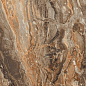 GR104 Richter Brown High glossy 600x600 PrimaVera