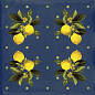 Giardino Blu Mix Luc 20x20 Sant Agostino