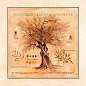 25.8(423) Декор Herbarium 3 из 1 плитки 10x10 Factoria