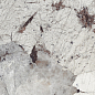 Patagonia Cool High Gloss 60x120 Staro фото в миниатюре