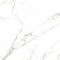 Noble Super White Satin Matt 120x60 Colortile