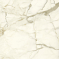 PL612575 Calacatta Macchia Vecchia Lucidato 60x120 Ariostea