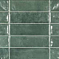 Pool Green 31,6x60 Ecoceramic