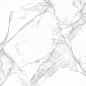 PR114 Arena White Polished 600x600 PrimaVera