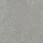 Granite Gloria Gray / Граните Глория Серый SR 60x60 Idalgo (Идальго)