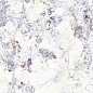 40736 Artic White SP/100x180/R 100х180 Peronda