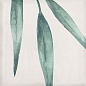 Mate Decor Greens 15x15 Eletto Ceramica