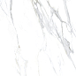 Arequipa White Polimat 120х120 Ecoceramic