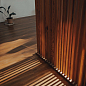Inedito Ragno Marazzi