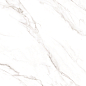 Statuario Alaska Glossy 80x80 Maimoon Ceramica