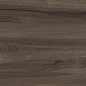 GP36GOA21 Goa Marron матовый 300x600x8 Artkera Group