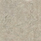 NS6NTT9021L Quanta Grey 60x60 NT Ceramic