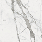 610010001678 Charme Evo Statuario Nat Ret 80x80 Italon