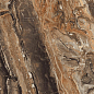 GR104 Richter Brown High glossy 600x600 PrimaVera