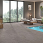 N40042 Basalt Stone Pearl Matt 60x120 Neodom