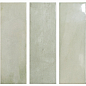 136309 Calema Tea 5,2х16 DNA Tiles