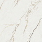 Ravena Pulido Rect. 80x160 Benadresa