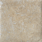 1081239 Cotto Del Campiano Terra Di Pienza 40x40 CIR
