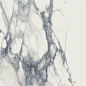 Baikal Blue Pulido 60x120 Baldocer