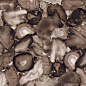 ENACN1013HG60120 Volcanic Agate High Glossy 600х1200х9 Ennface