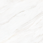 2601 Venato Soft Polished 60x120 Leopard