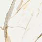 610015000677 Stellaris Calacatta Gold Lap Ret 60x120 Italon