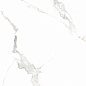 6461-0411 Иней белый 60х60 Lasselsberger фото в миниатюре