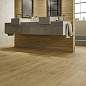 Heartwood Atlas Concorde