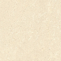 SandStone Песочный Матовый R10A Ректификат 9мм 60х120 Vitra