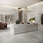 Prestigio Travertino Refin