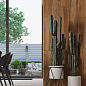 AW 02 Artwood неполированный 19.4x120x10 Estima