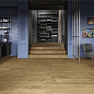 Heartwood Atlas Concorde