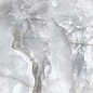 PR214 Honey Onyx Bianco Polished 600x1200 PrimaVera