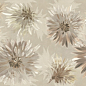 BLOOM6 12 RM 60x120 Imola Ceramica