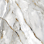 176296 Picaso Polished 60x120 Pardis Ceramic Pazh