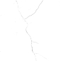 Eden Statuario 600x1200 LV Granito