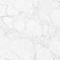 N12045 Carrara Giaola Polished 60x120 Neodom